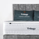 Trilogy Bed with Medium Firm Mattress