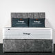 Trilogy Bed with Soft Mattress